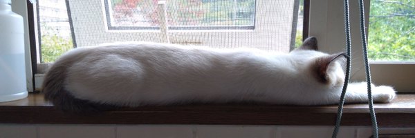 Ryo_mojyage Profile Banner