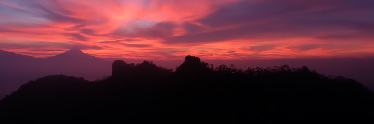 arkputra's profile banner image