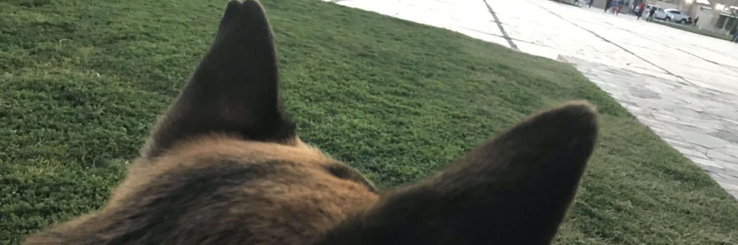 AaronantonioO's profile banner image