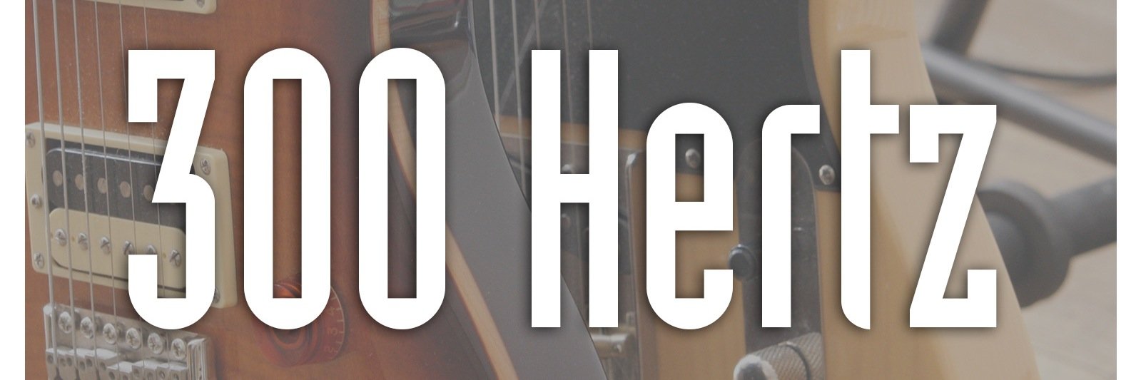 Dreihundert Hertz banner