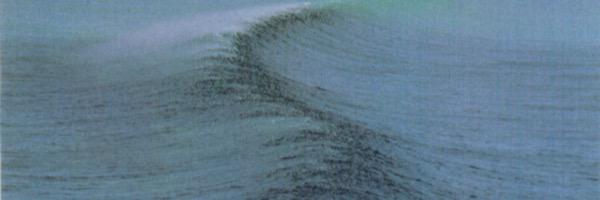 b_baumle's profile banner image
