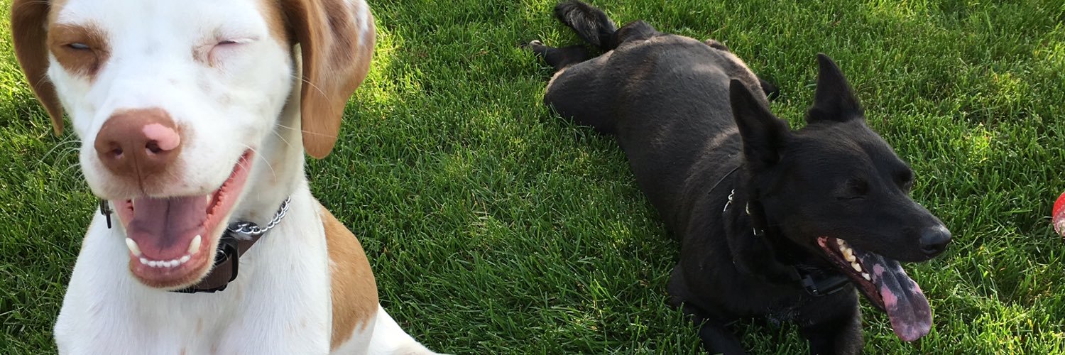 Brian Siemann banner