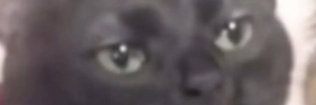DARIIA 🔞 banner