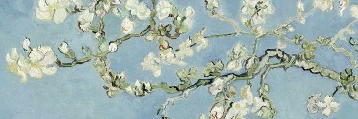 𝐁𝐄𝐍𝐄𝐃𝐈𝐂𝐓 banner