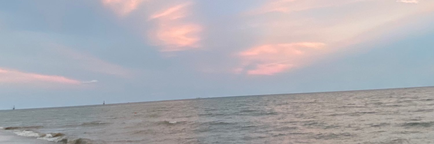 piraaa ⪩⪨ banner