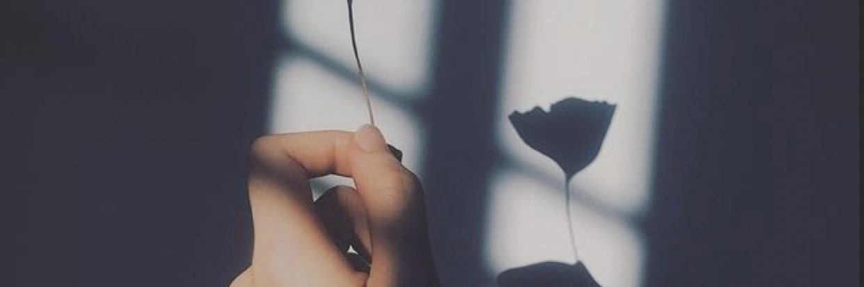 DyskaAnanda's profile banner image
