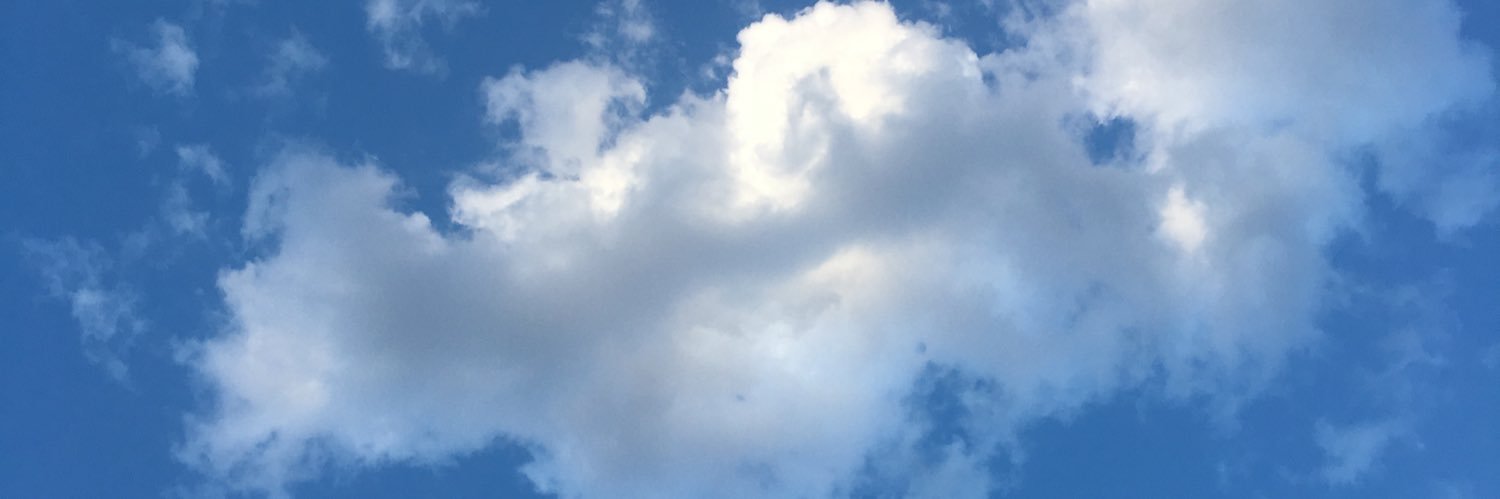 fiverrsingh's profile banner image
