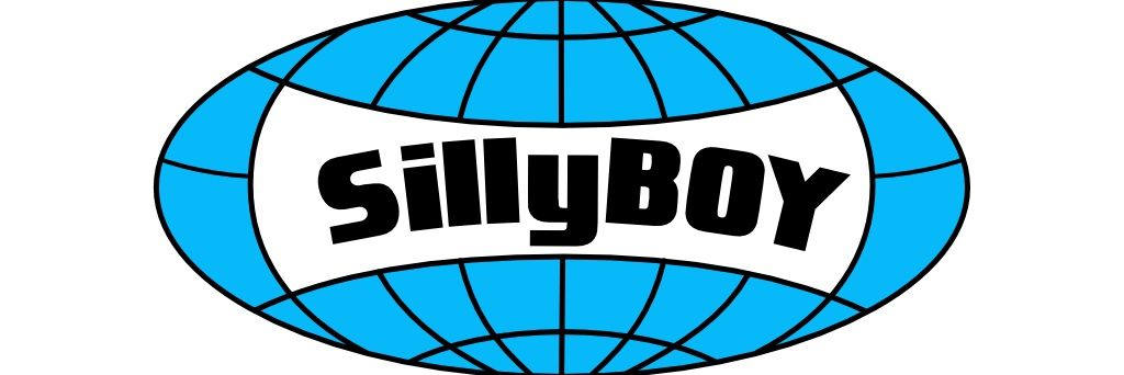 Silly BOY banner