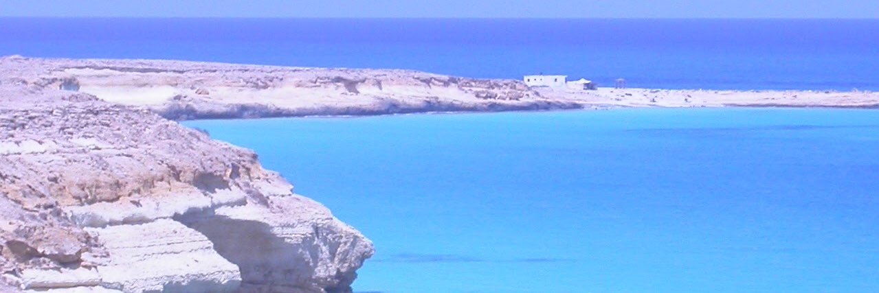 Dr. Mahmoud Al Shaffie banner