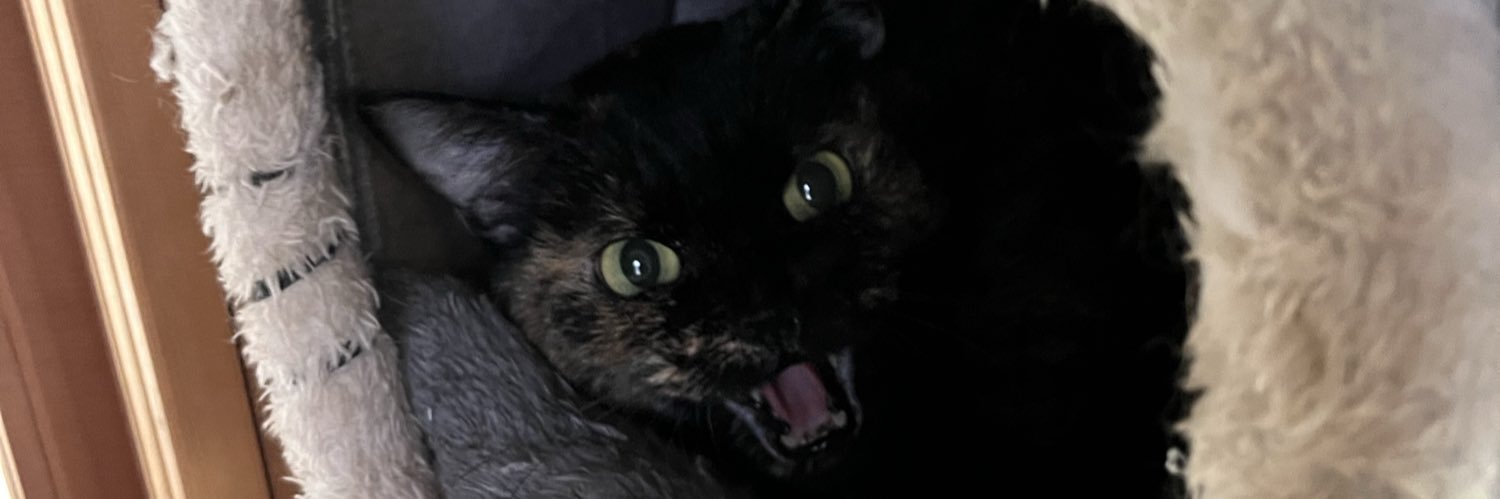 サビエールサビサビ・ザ・サビ3世 banner