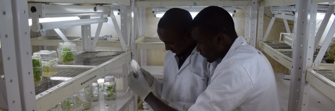 KenyattaUni Research banner