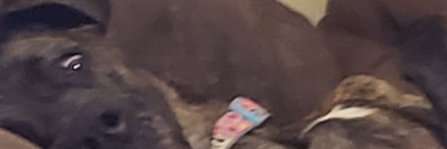 YaaBoiJustin's profile banner image