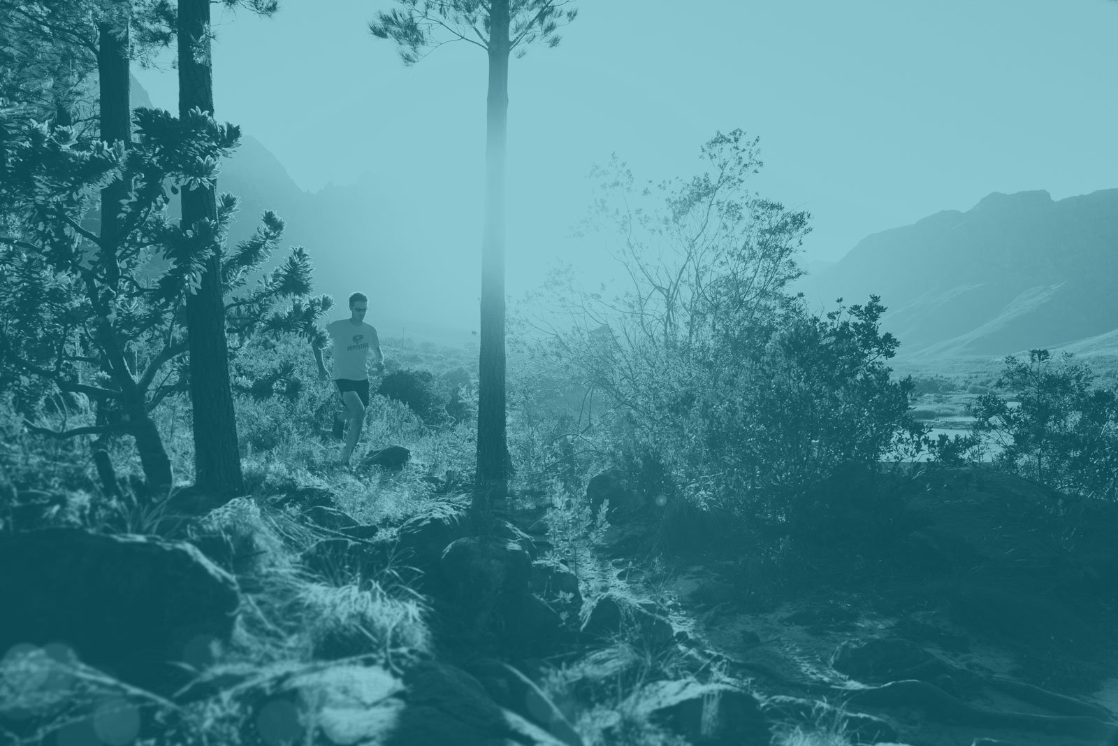 teampeppster's profile banner image