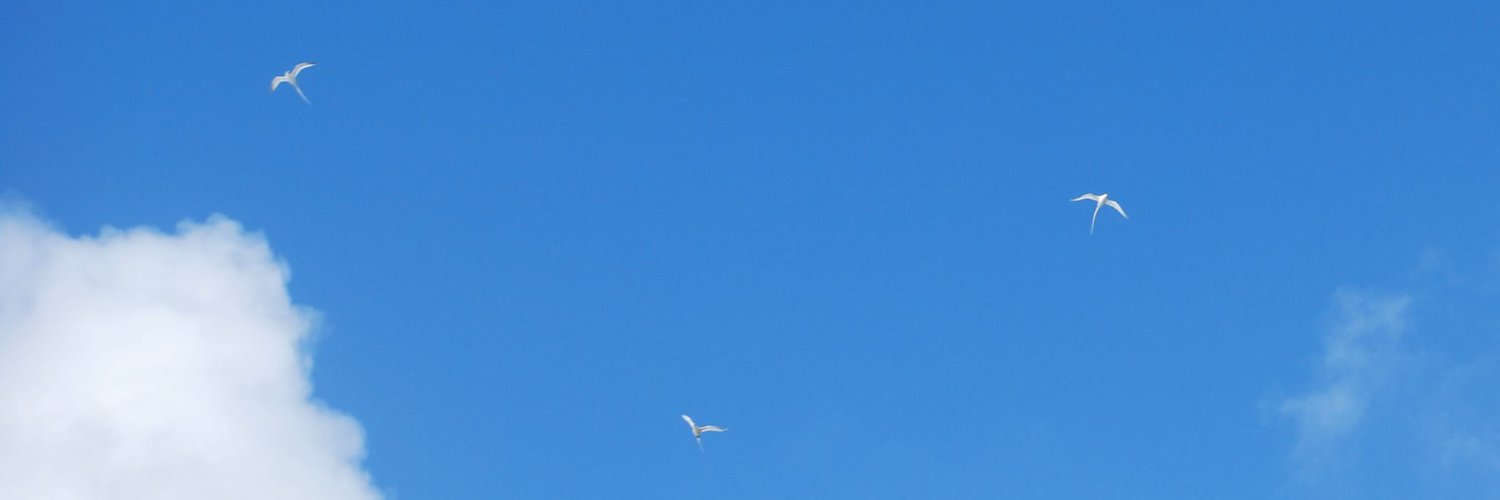 Carys Redman-White banner