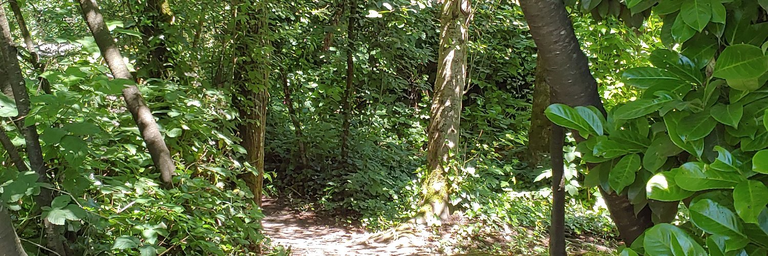 AnaïsOccasionallyNihilist banner