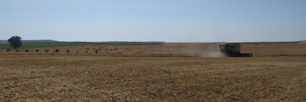 UcclZamora Profile Banner