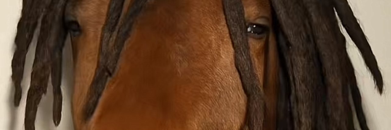 raa00110's profile banner image