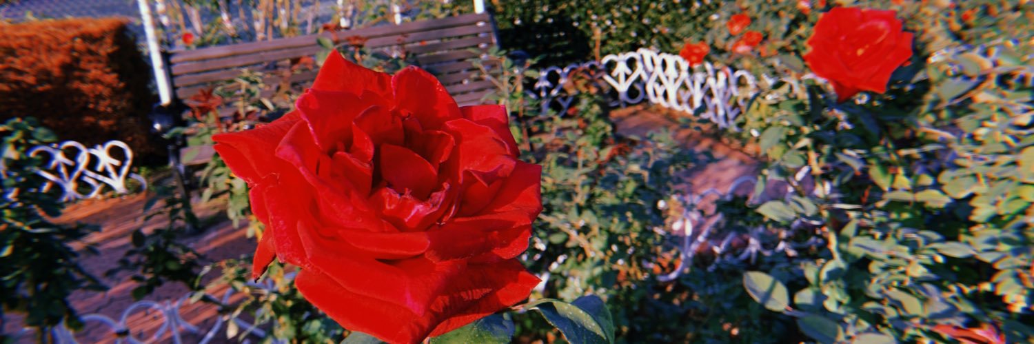 _bluemoon96's profile banner image