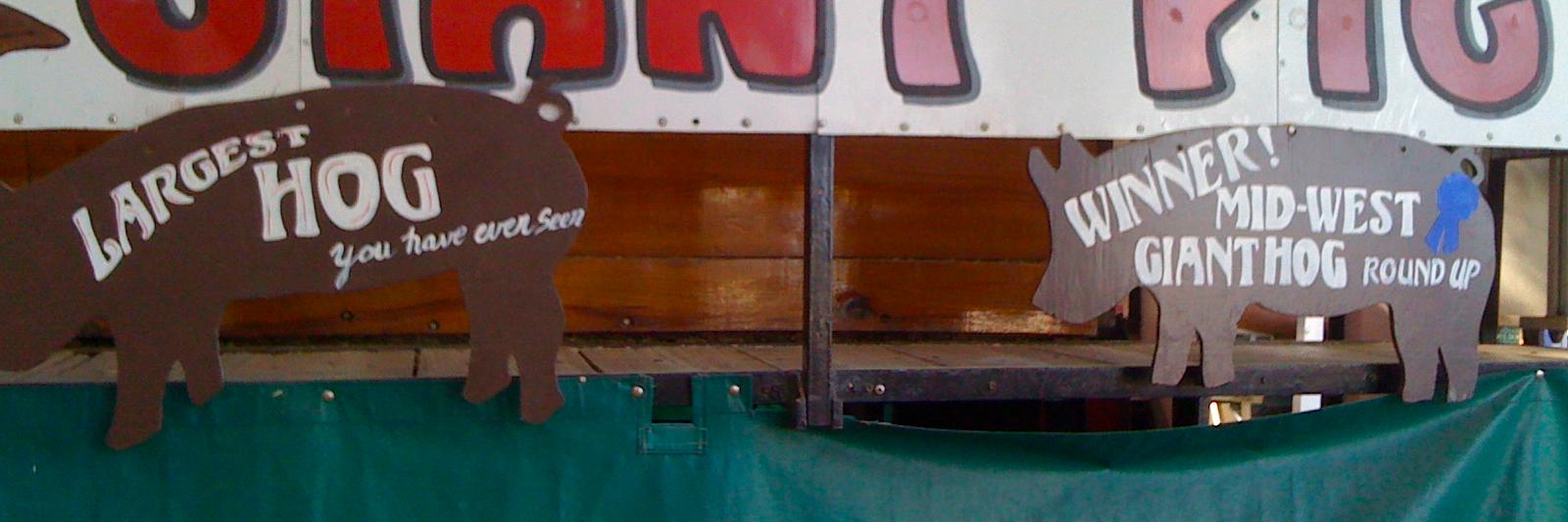 cherdlick's profile banner image