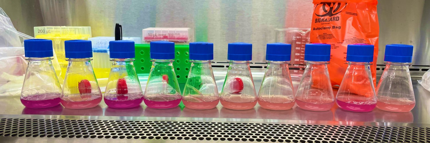 Daniel Shapiro banner