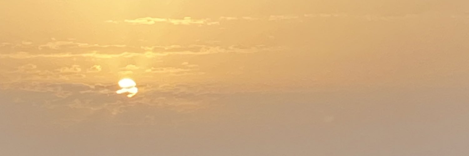 laiasole5's profile banner image