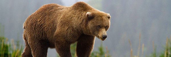 cryptodeep_ Profile Banner
