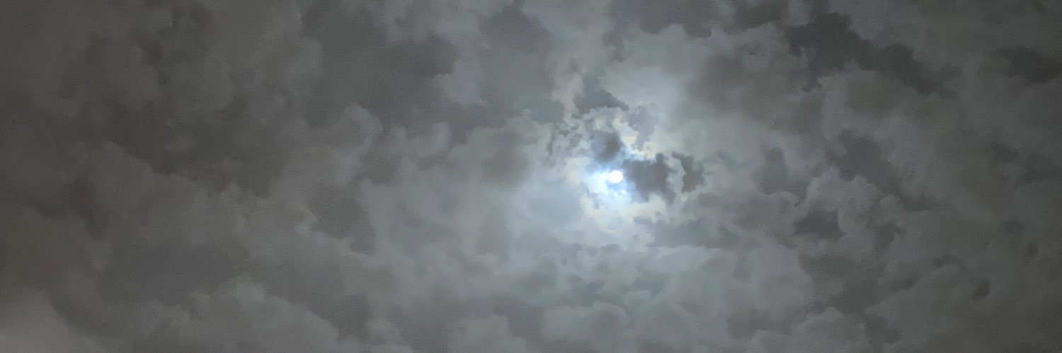 SUL12351's profile banner image