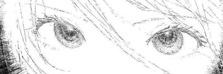 🐾 banner