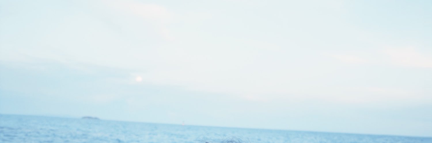 จีจี้'s banner