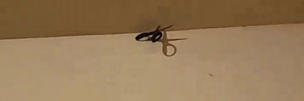 Christi34962368 Profile Banner