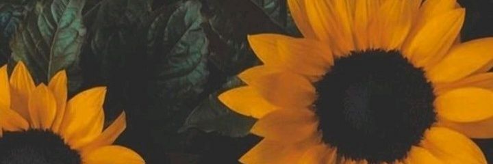 aaletoorres's profile banner image