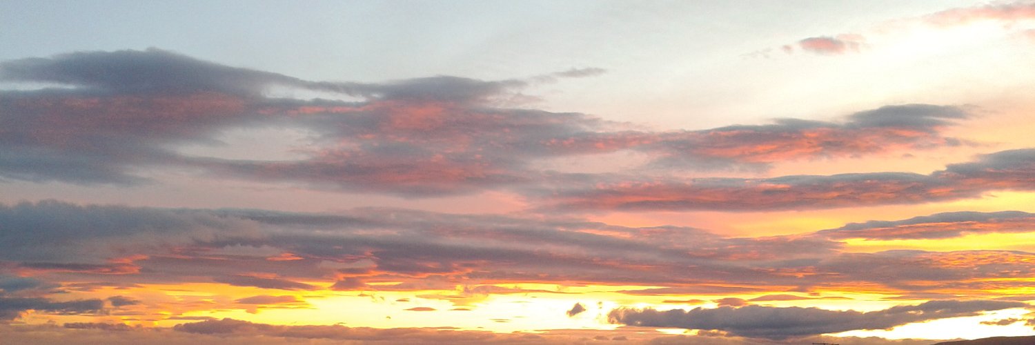 Alejandrup's profile banner image