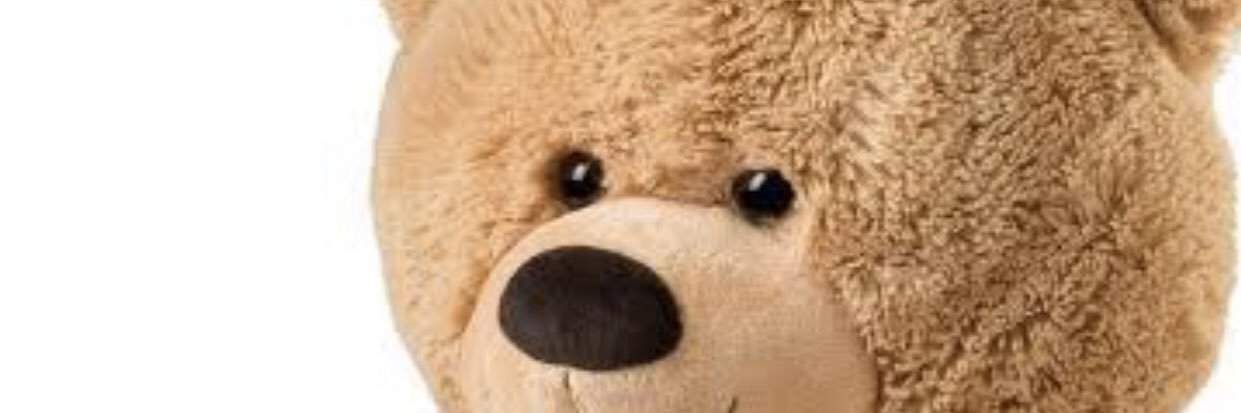 mr Teddy bear banner