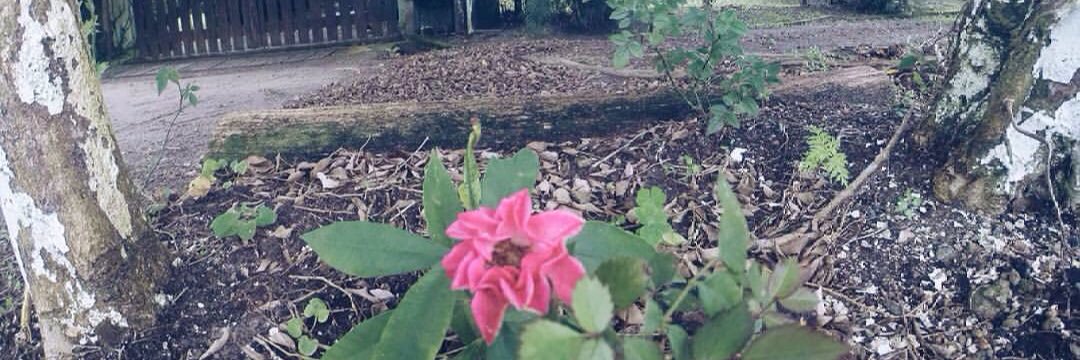 ca_andraade's profile banner image