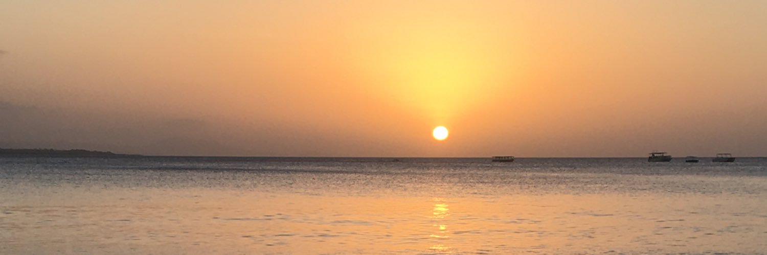 LauraPayero's profile banner image