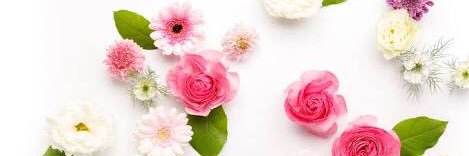 ayachuuu77's profile banner image