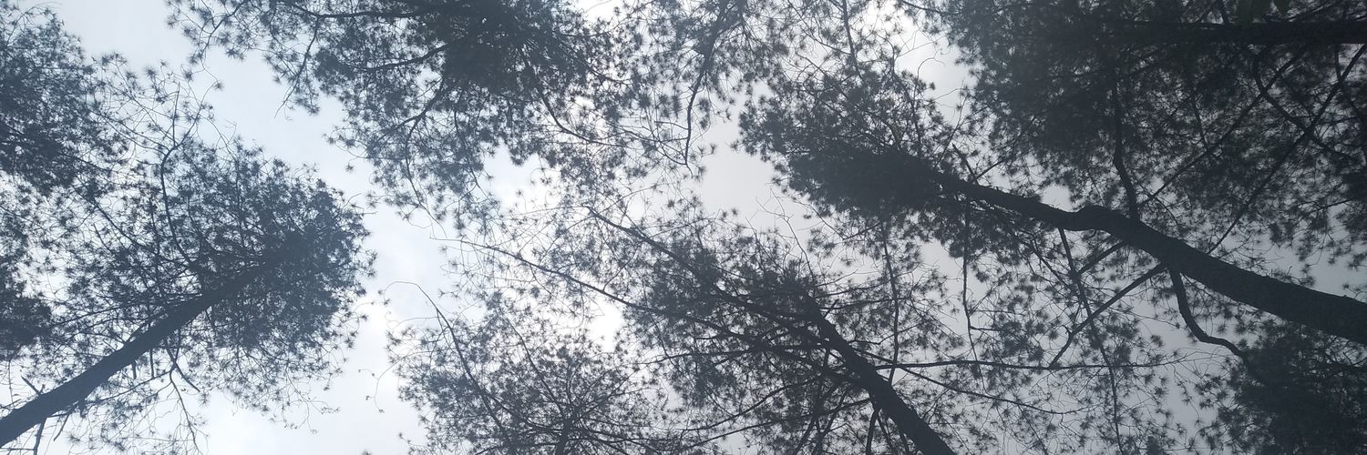 firstavania's profile banner image
