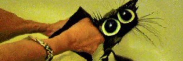 S0apTheTea Profile Banner