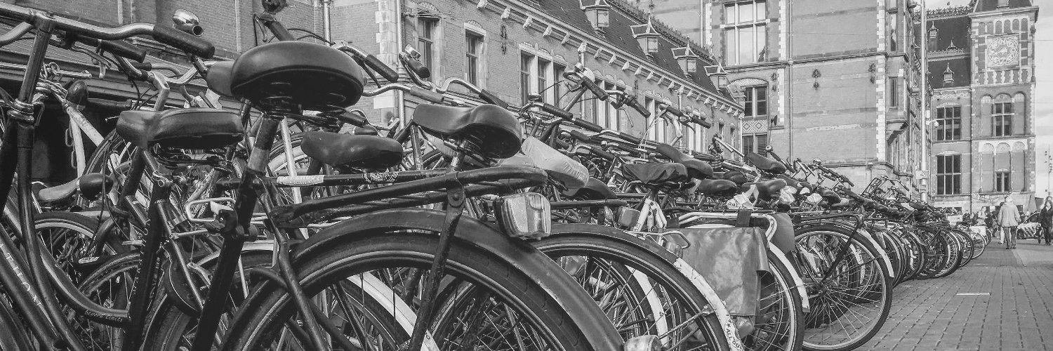 Danielle Shin banner