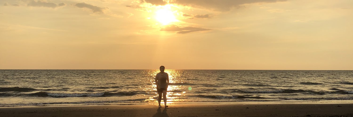 domvasallo's profile banner image