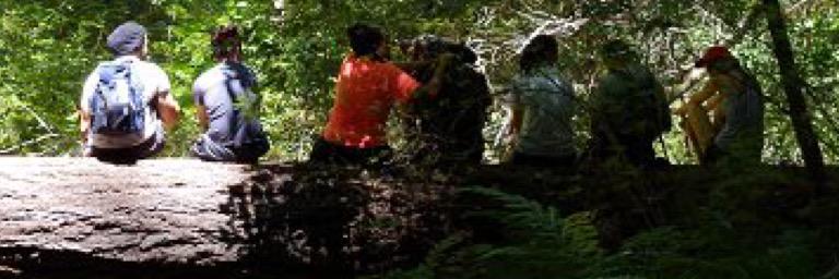 sabil_ak's profile banner image