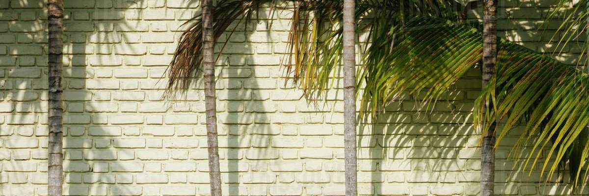 Owner of the Dimmadome banner