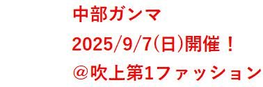 中部エアソフトガンマーケット's banner