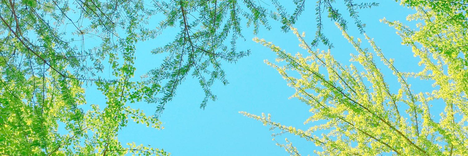 son22w's profile banner image