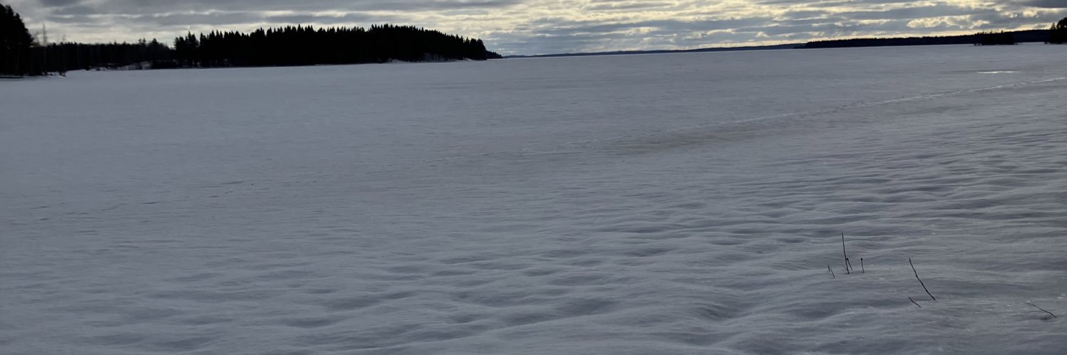 lepolahti's profile banner image