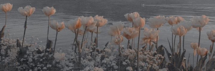 asharma26's profile banner image
