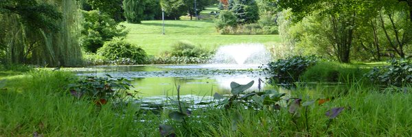 whitecyberduck Profile Banner