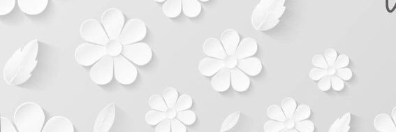 elcarim____'s profile banner image