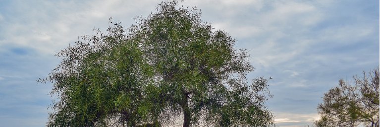 rizarmadhan's profile banner image