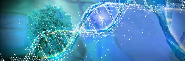 deciderproject Profile Banner